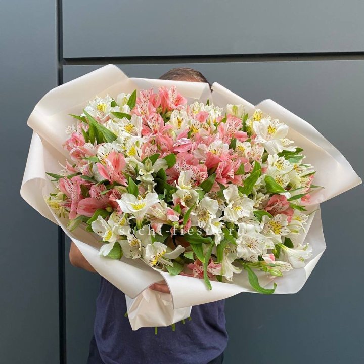 39 альстромерий в Оренбурге