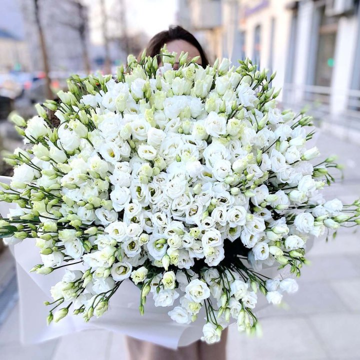 101 белая эустома в Оренбурге