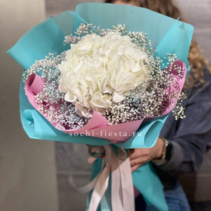 Гортензия "Райдов" в Оренбурге