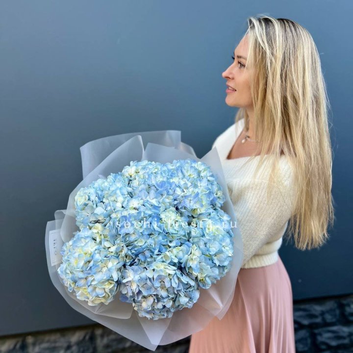 7 голубых гортензий в Оренбурге