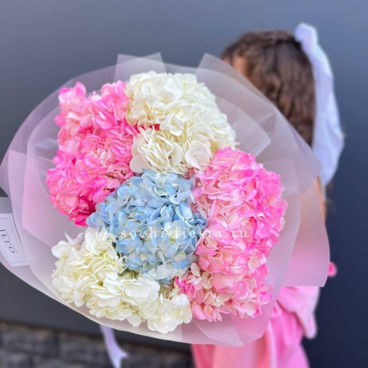 7 гортензий микс в Оренбурге