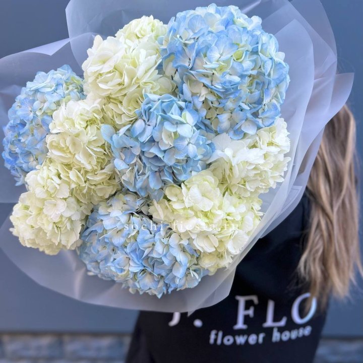9 бело-голубых гортензий в Оренбурге