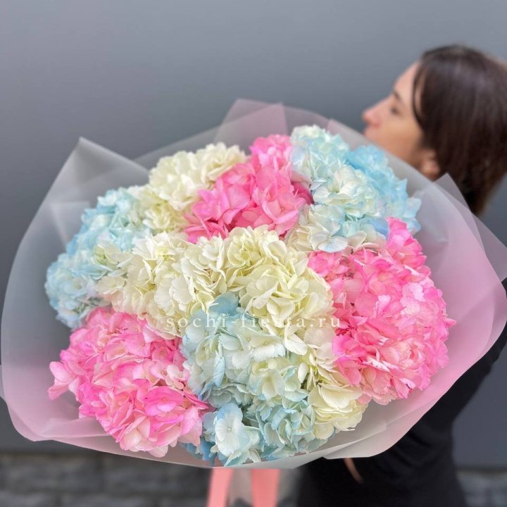 9 гортензий микс в Оренбурге