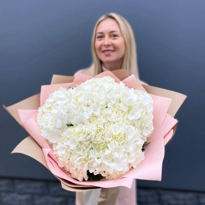 Гортензия белая в Оренбурге