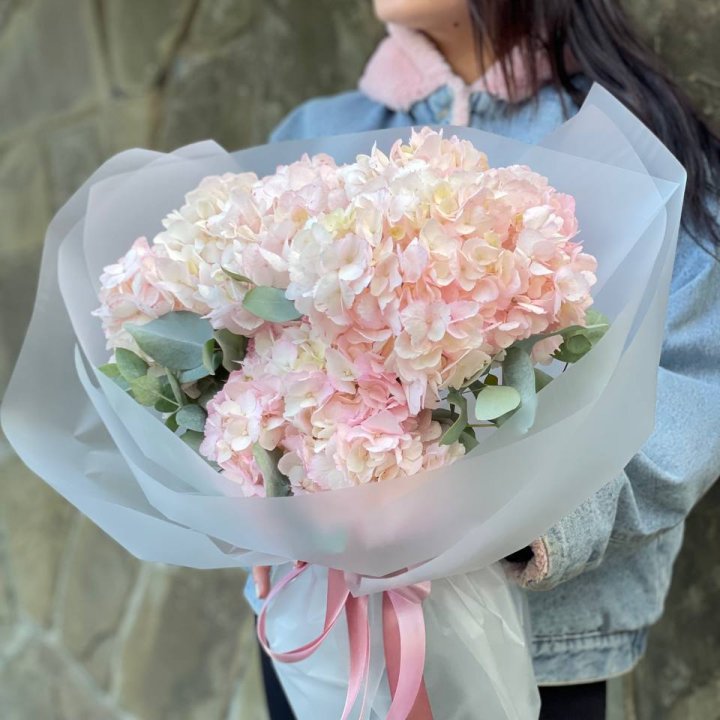 5 розовых гортензий в Оренбурге