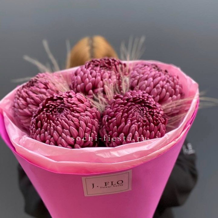 Хризантемы  Бигуди с стифой в Оренбурге