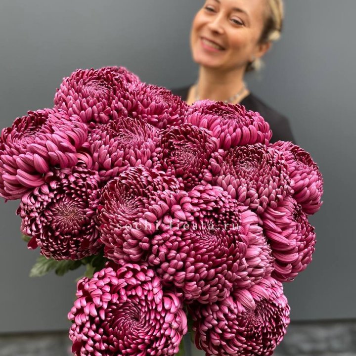 Охапка хризантем Бигуди в Оренбурге