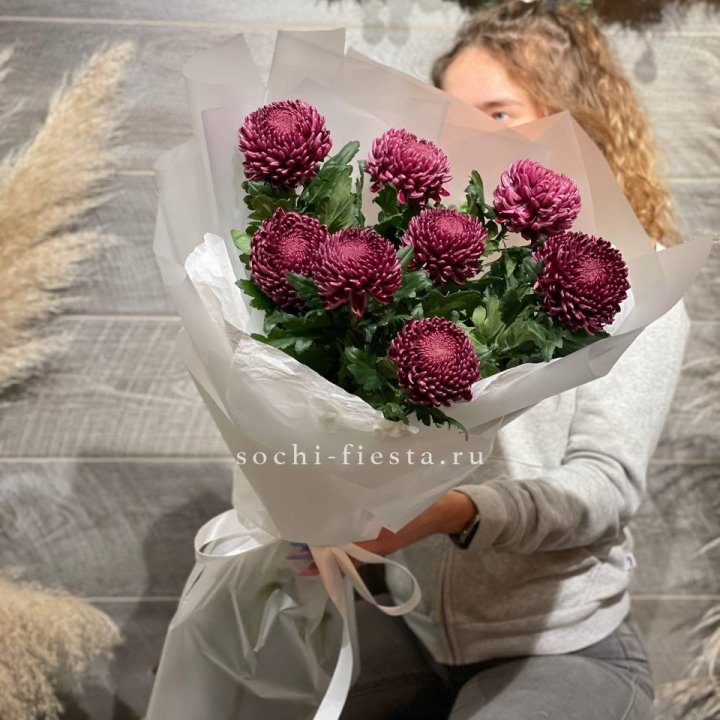 Хризантемы Бигуди в Оренбурге