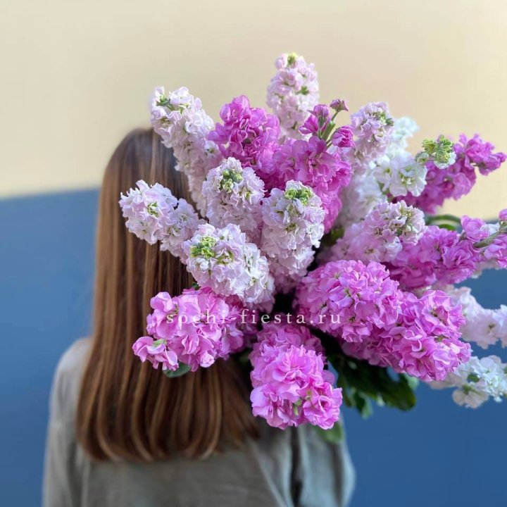 Охапка маттиолы в Оренбурге