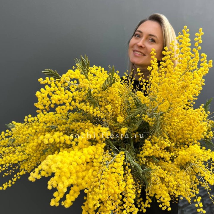 Охапка мимозы №2 в Оренбурге