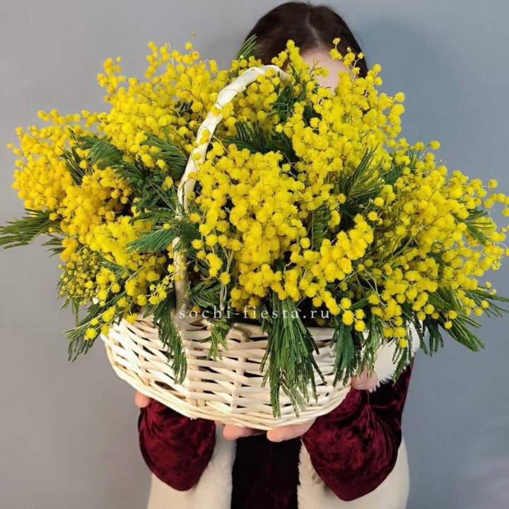 Корзина ароматной мимозы в Оренбурге