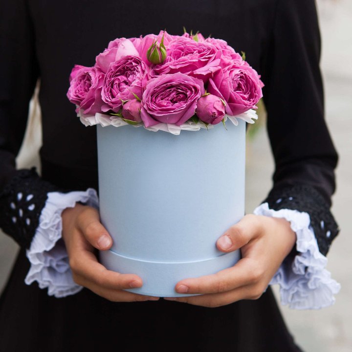 Бокс мини мисти в Оренбурге