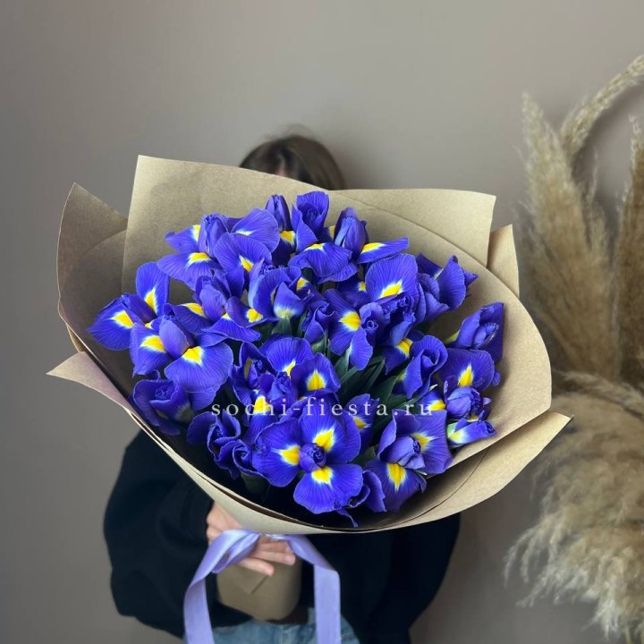 Ирисы в Оренбурге