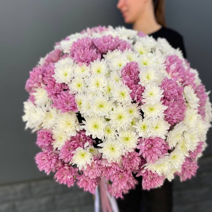  Букет 25 хризантем микс в Оренбурге