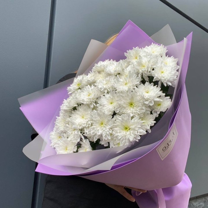  7 хризантем  в Оренбурге