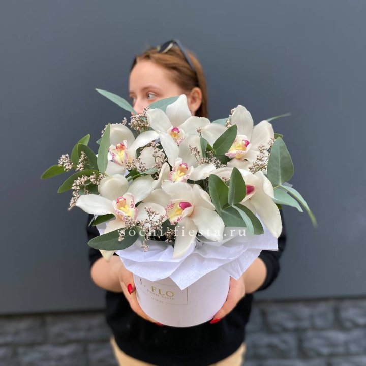 7 орхидей в боксе в Оренбурге