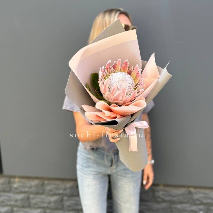 Протея мини  в Оренбурге