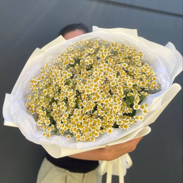 Букет ромашек №2 в Оренбурге