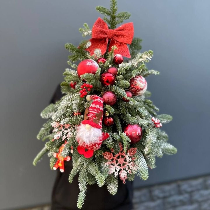 Новогодняя елочка "Ред" в Оренбурге