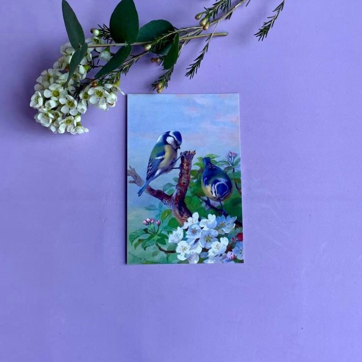 Открытка к букету "Птицы" в Оренбурге