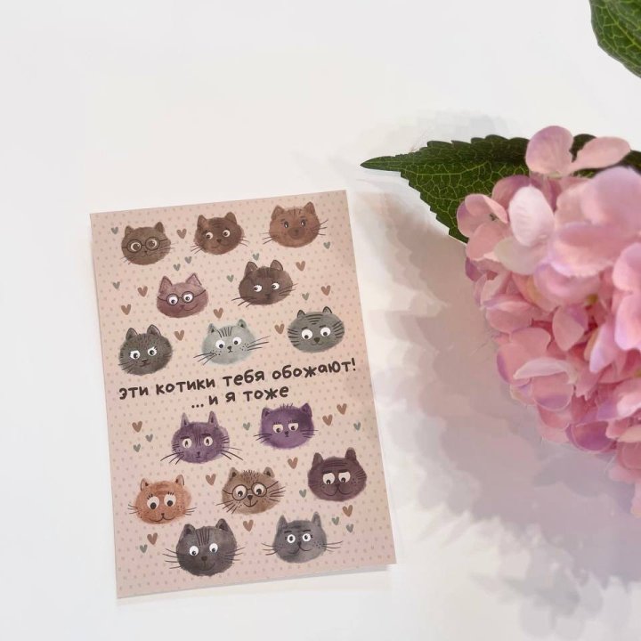 Открытка к букету "Котики" в Оренбурге