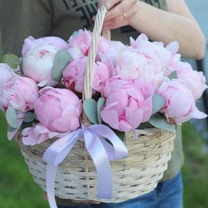 15 пионов в корзине в Оренбурге