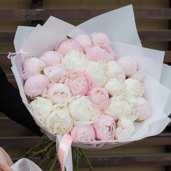 29 пионов в Оренбурге