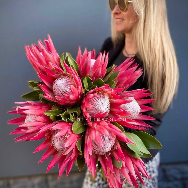 Протея штучно в Оренбурге