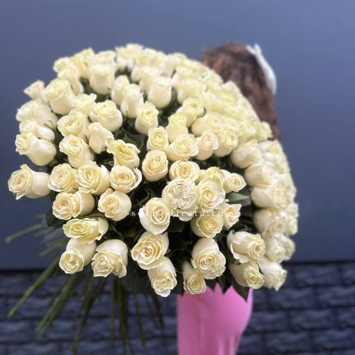 101 белая высокая импортная роза под ленту в Оренбурге