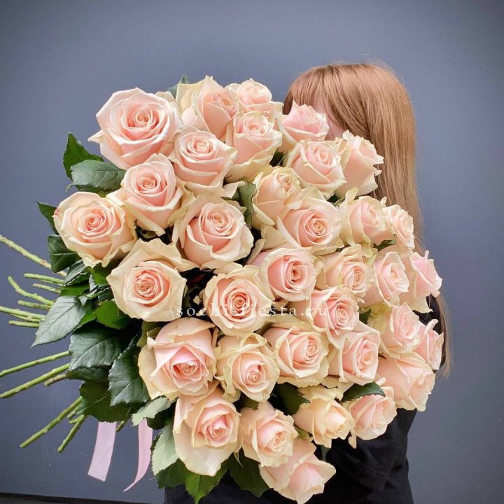 35 кремовых высоких роз в Оренбурге