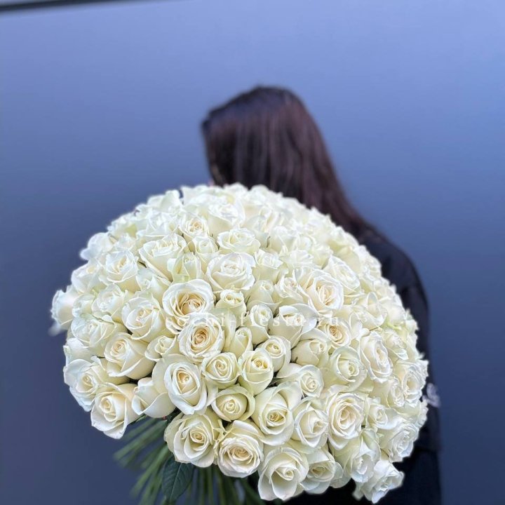 Охапка из 101 белой розы  в Оренбурге