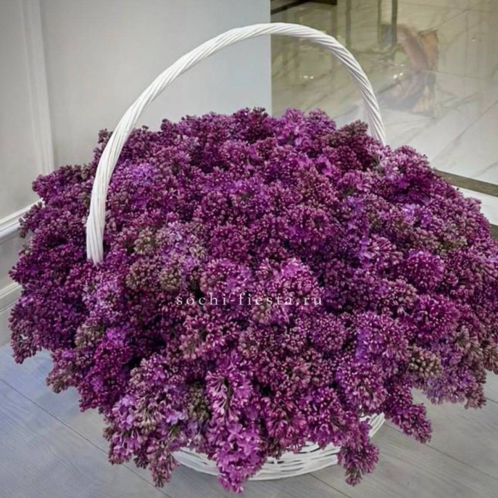 Корзина сирени в Оренбурге
