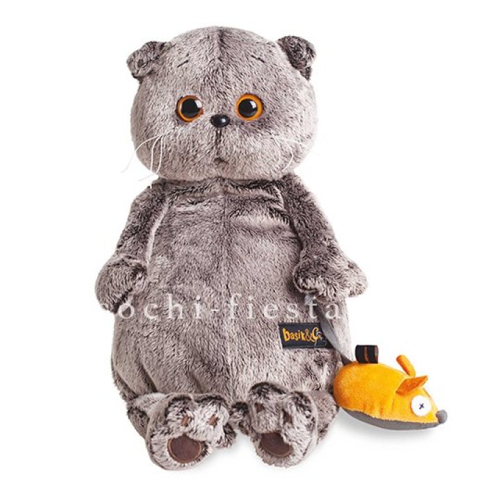 Кот Басик с мышкой в Оренбурге