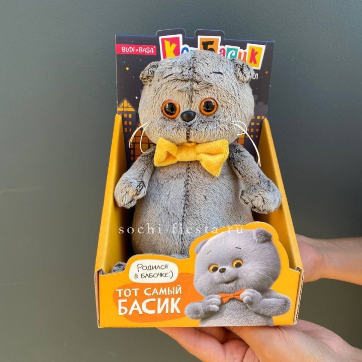 Кот Басик с бабочкой в Оренбурге