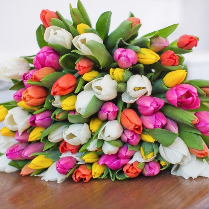 79 тюльпанов "Рандом" в Оренбурге