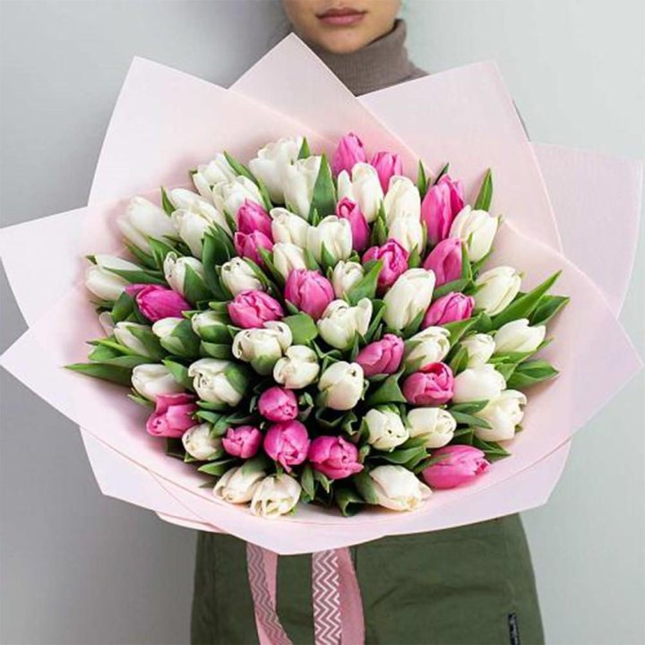 61 бело-розовый тюльпан в Оренбурге