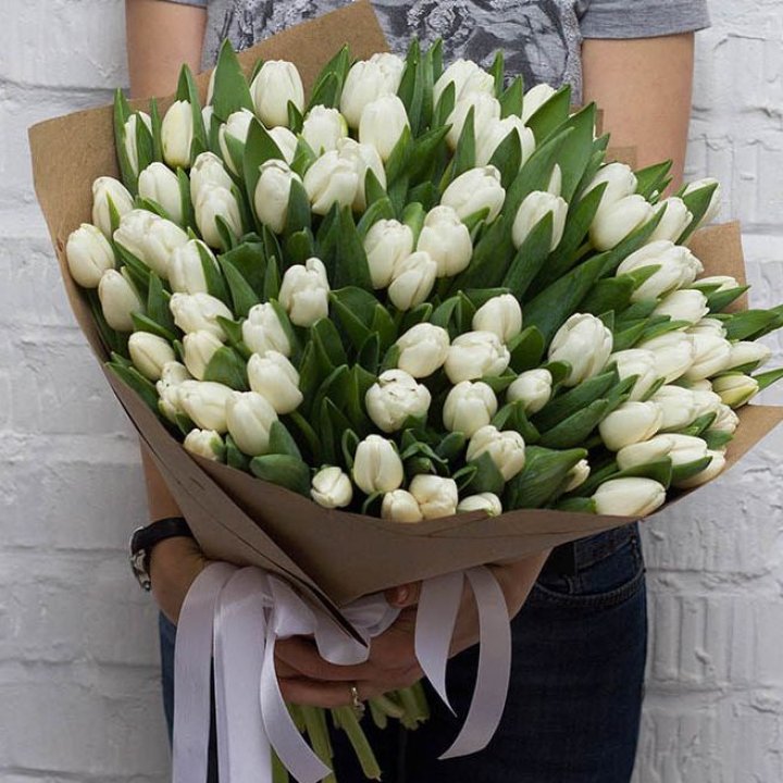 101 тюльпан сноу в Оренбурге