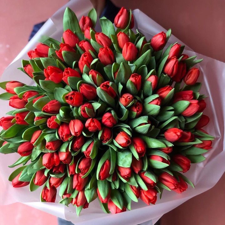 101 красный тюльпан в Оренбурге